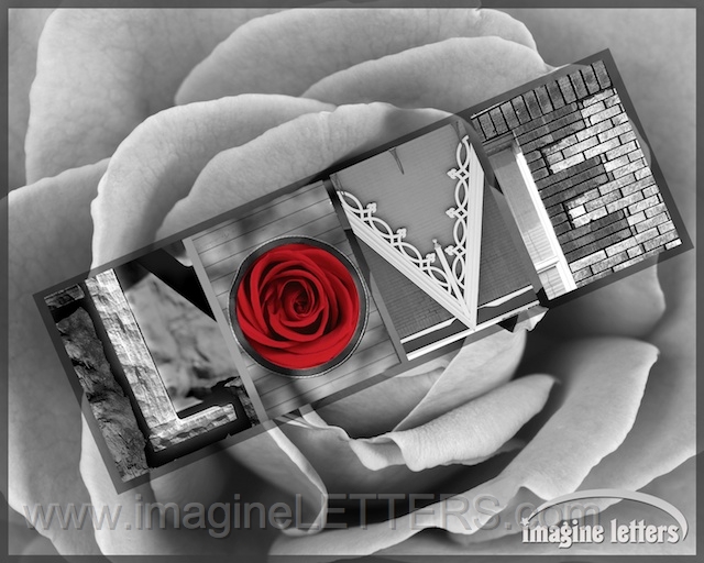 Wall_Art_Alphabet_Photography_Art_ 1366.jpg
